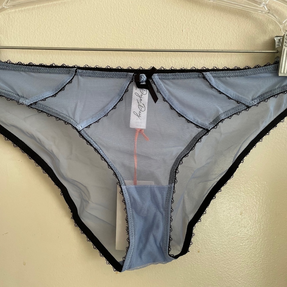 Deja Day- Grace Lavender Mesh Panties